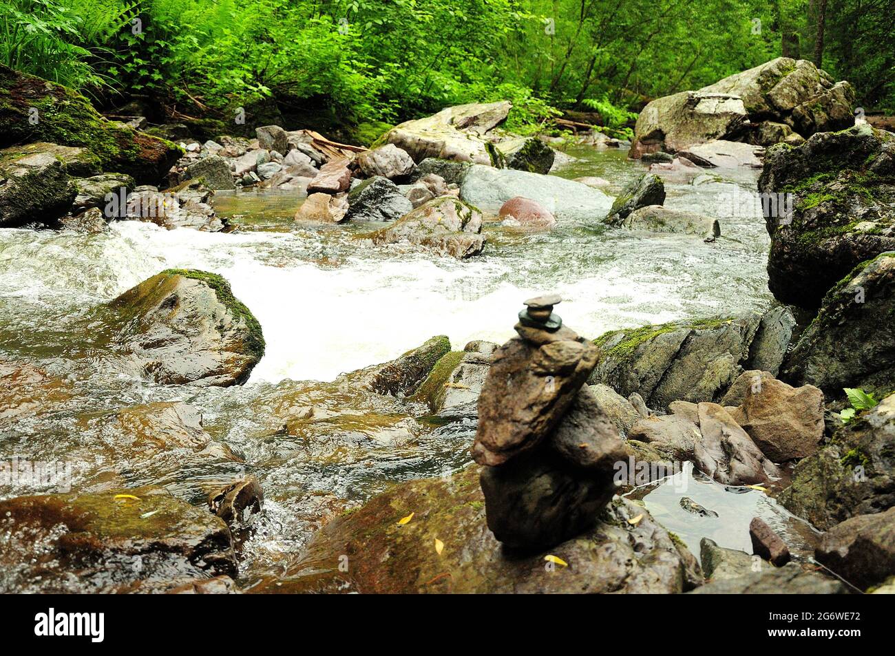 A stormy stream of a shallow mountain river cascading through a summer ...