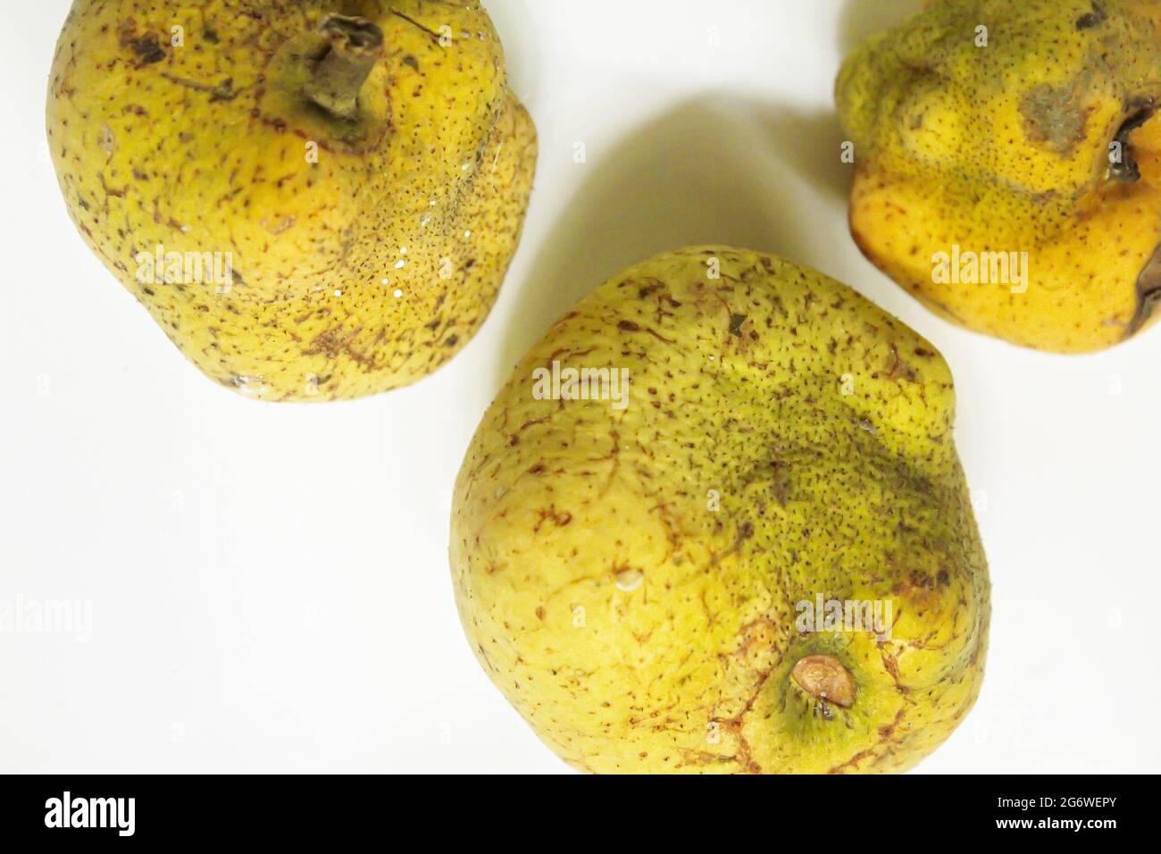 Artocarpus lacucha fruits on isolated white surface, top view Stock Photo