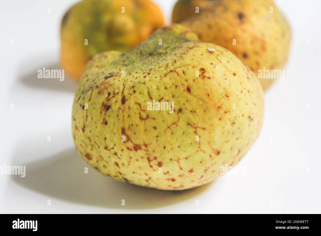 Artocarpus lacucha fruit isolated on surface, tropical fruit Stock Photo