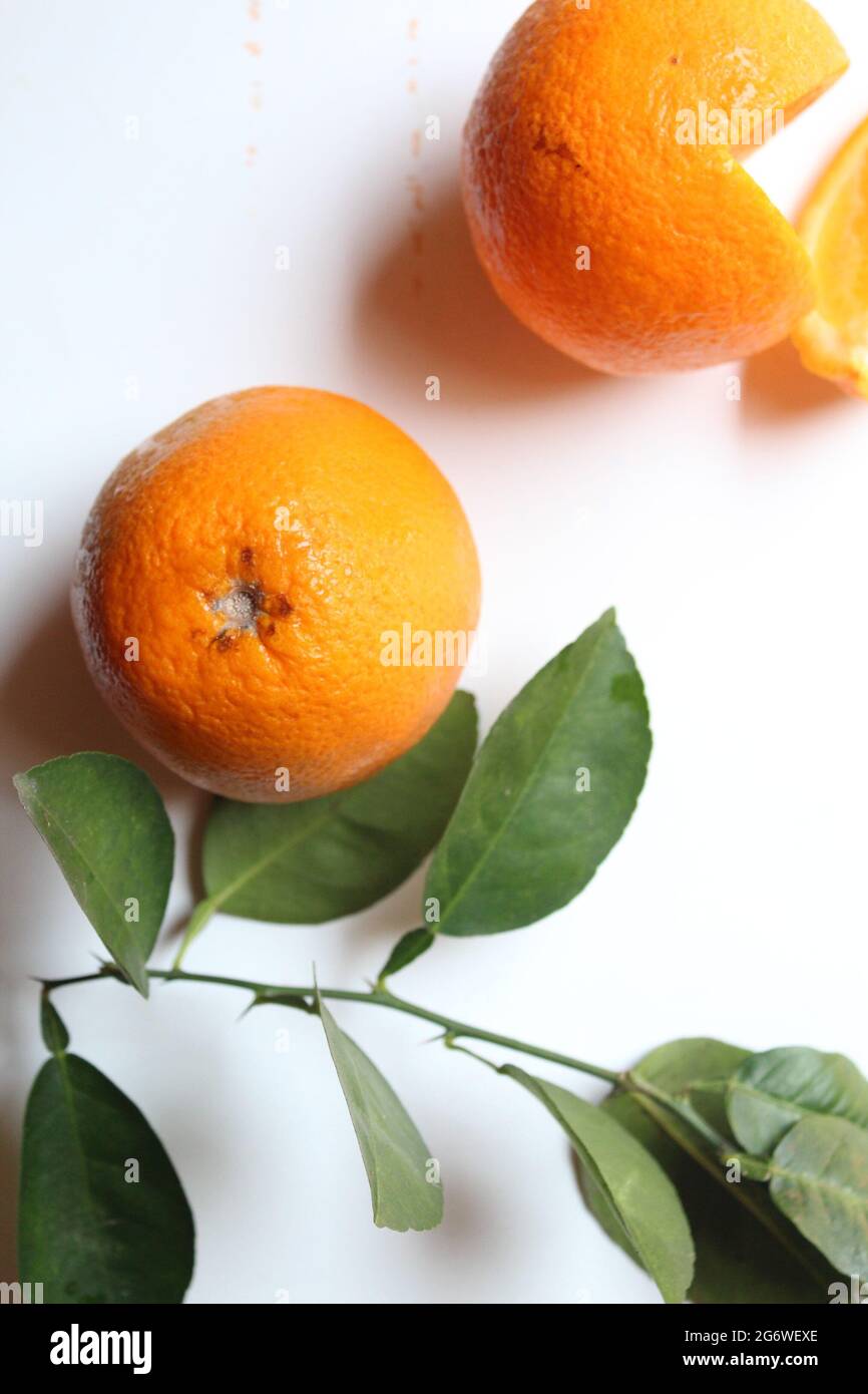 Italian malta orange fruit on isolated white surface, top view Stock