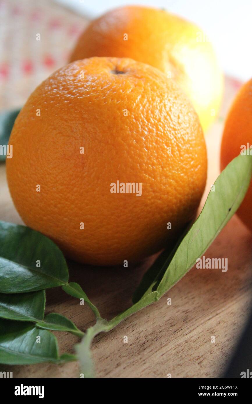 Fresh italian malta orange fruit Stock Photo Alamy