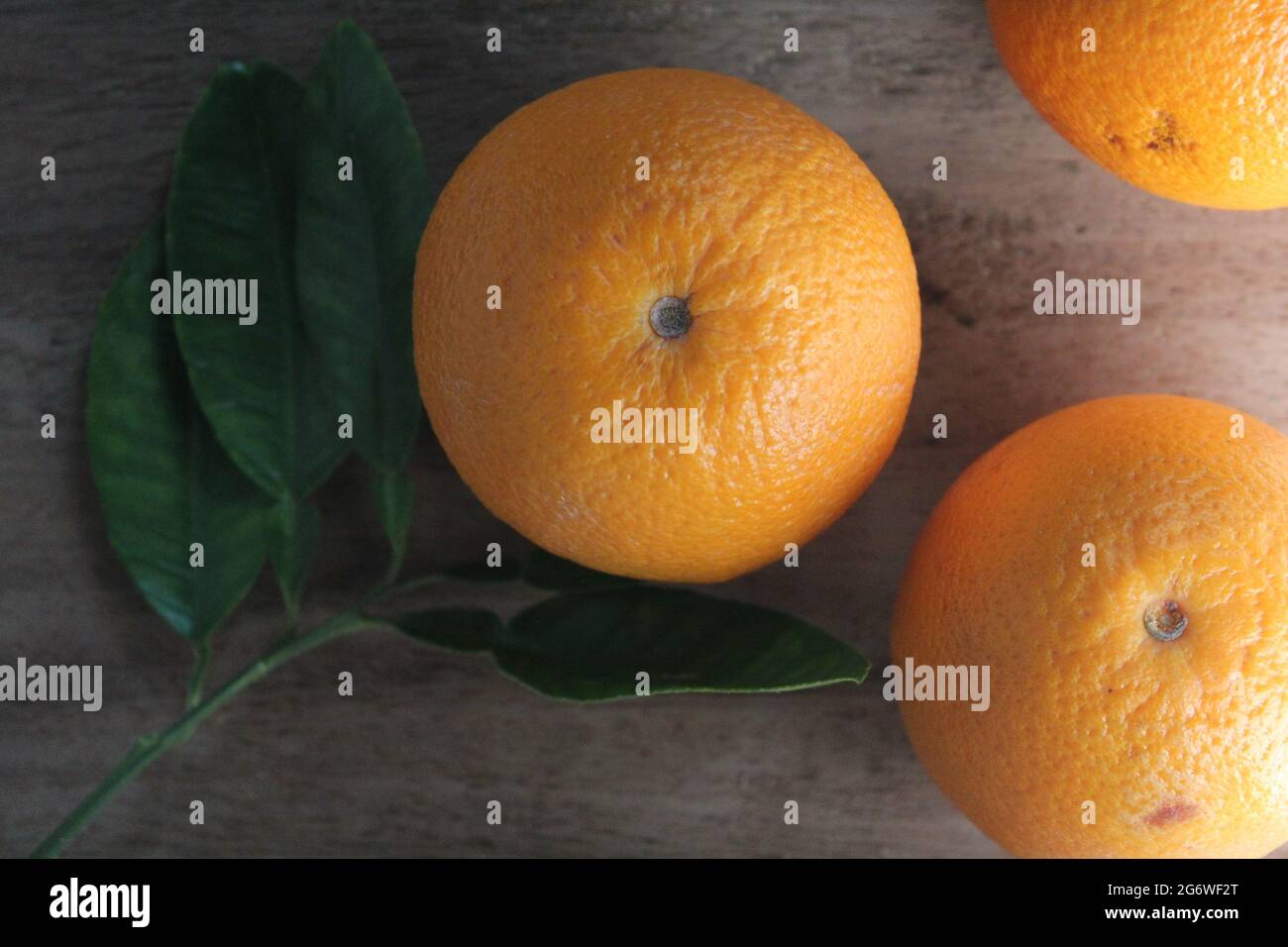 Malta orange fruit,top view Stock Photo