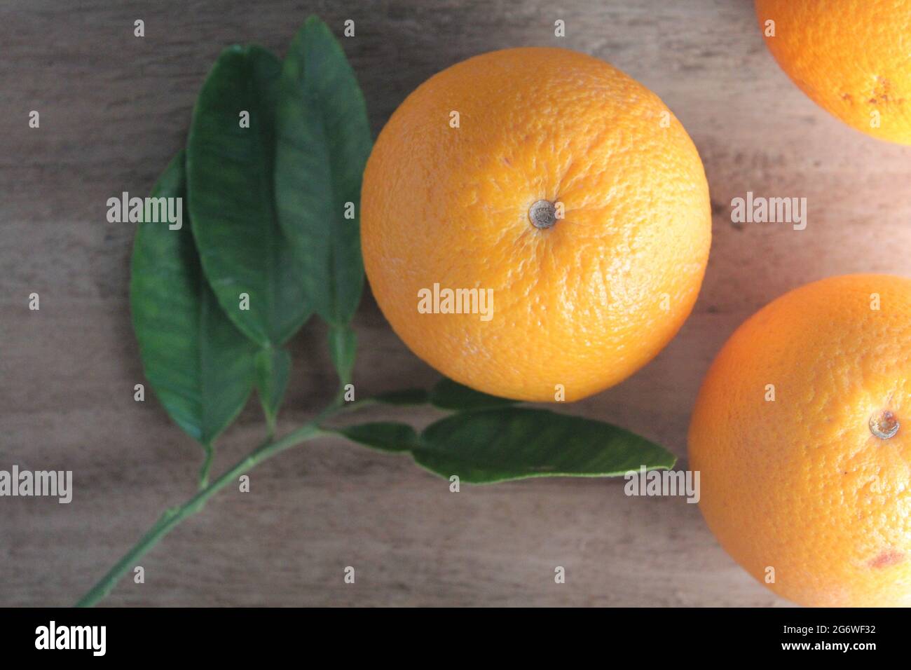 Malta orange fruit,top view Stock Photo