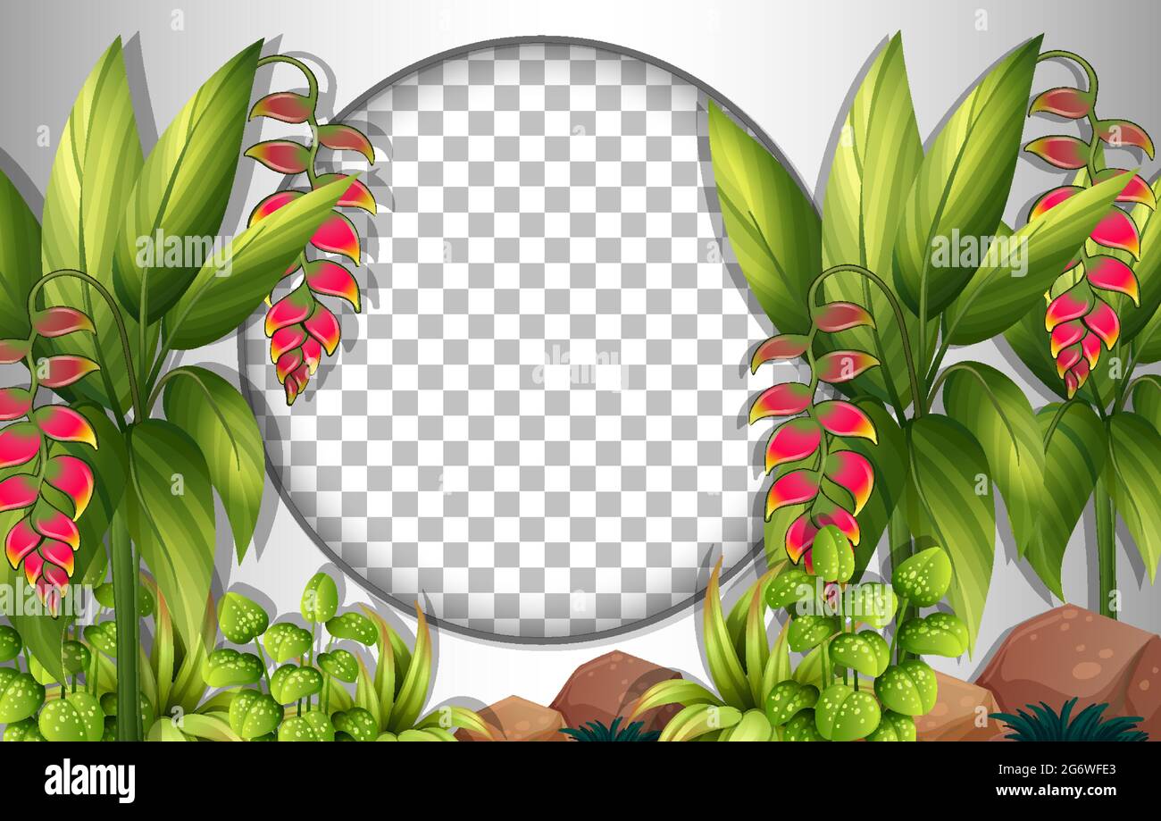 Round frame transparent with tropical leaves template illustration ...