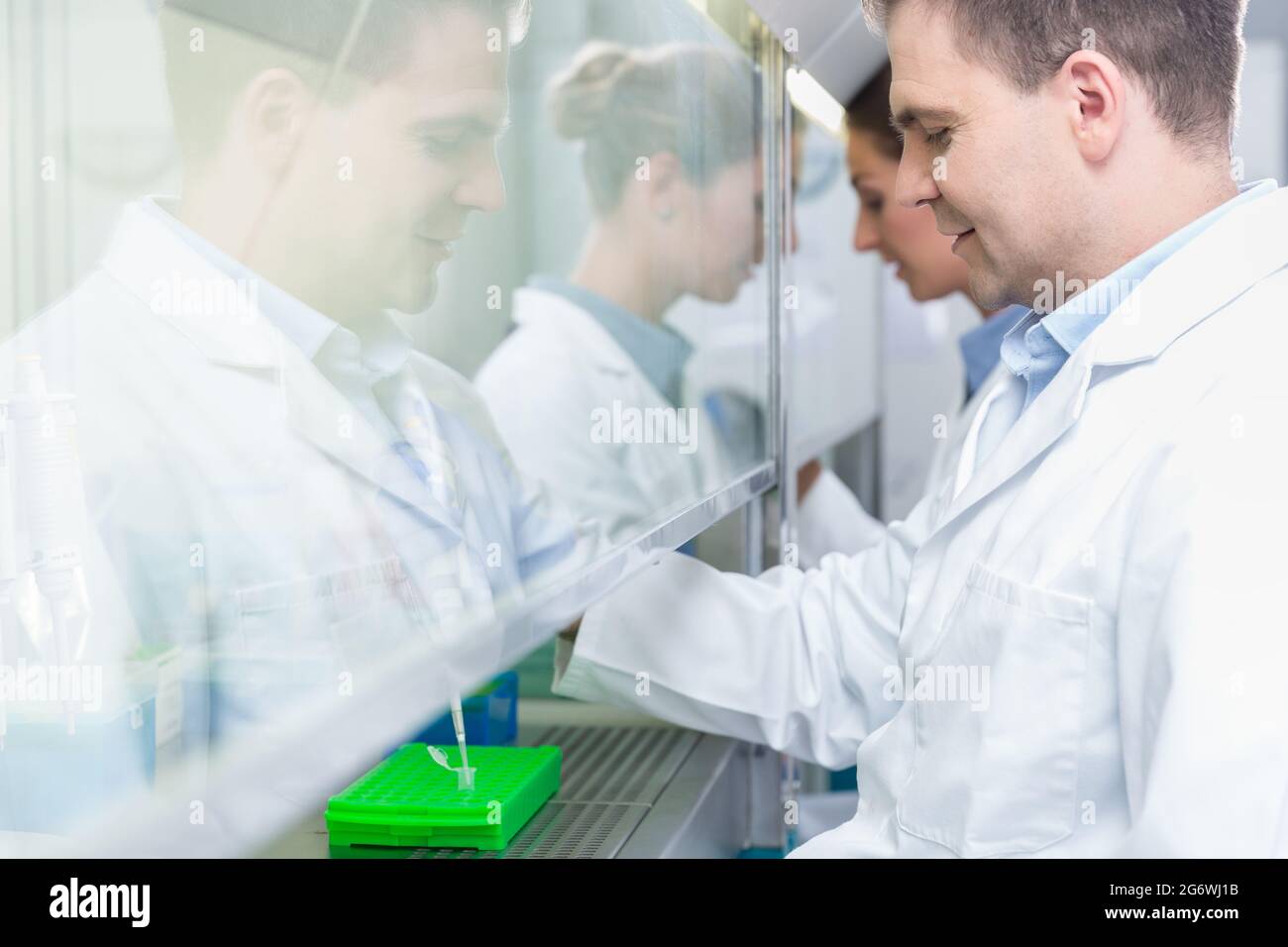 Researchers in science lab preparing samples for analysis Stock Photo