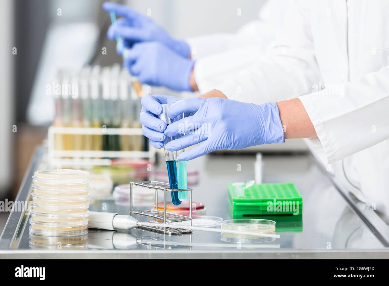 Making Lab Samples Experiments in laboratory hi-res stock photography and images - Alamy