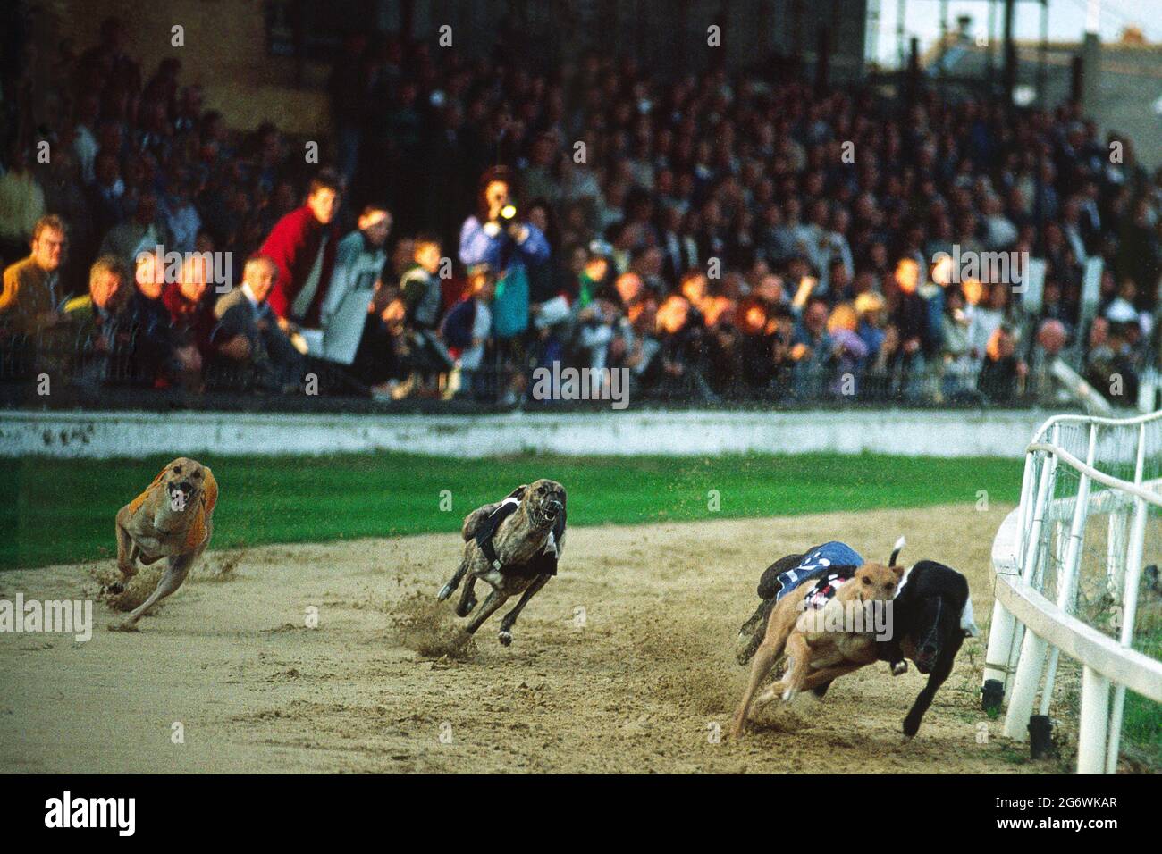 IRELAND. DUBLIN. STILL VERY POPULAR, THE GREYHOUND RACES ARE TAKING