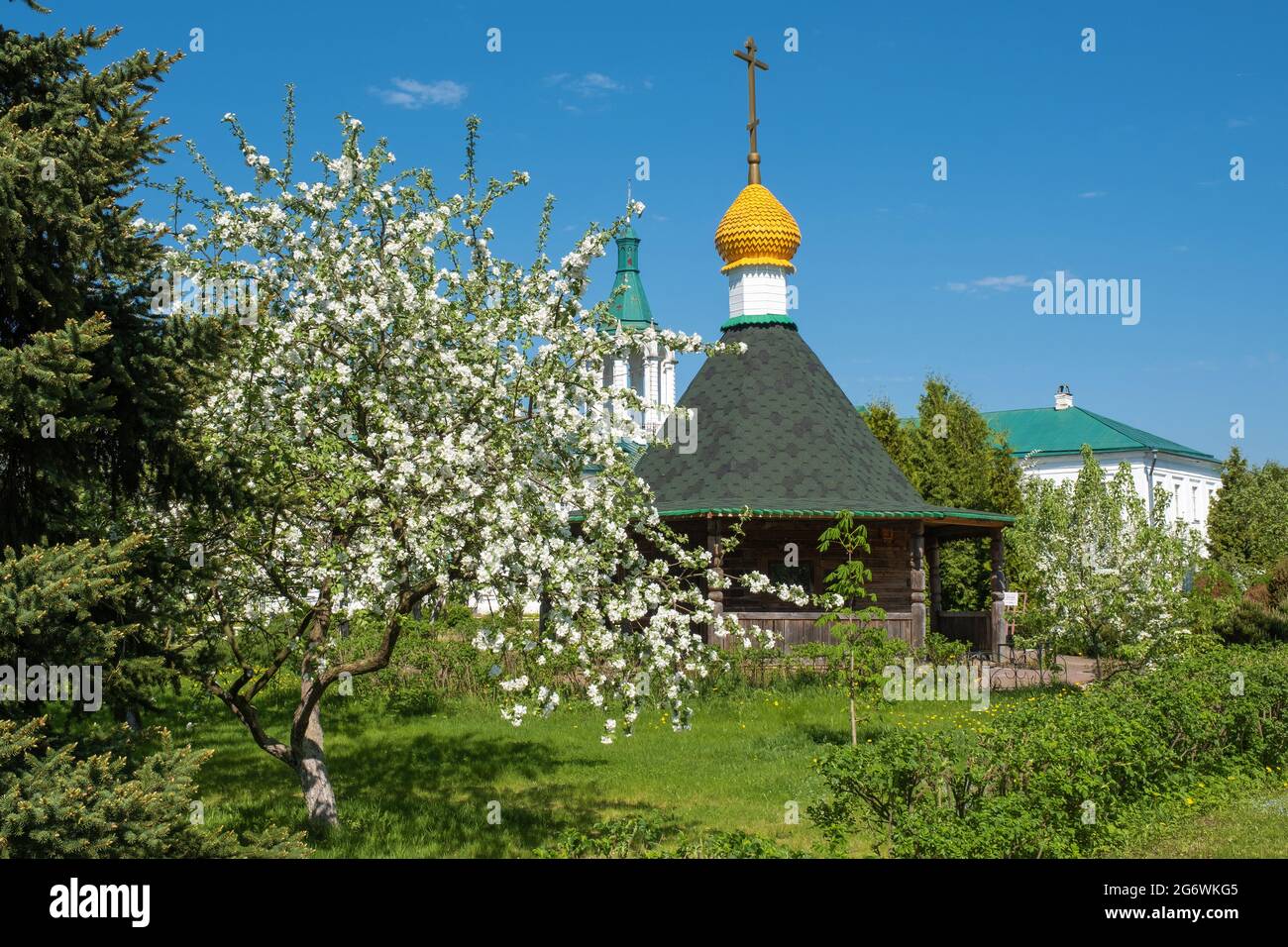 Blooming trees in the Spaso-Yakovlevsky Monastery on a sunny day in the city of Rostov, Yaroslavl region, Russia. Stock Photo