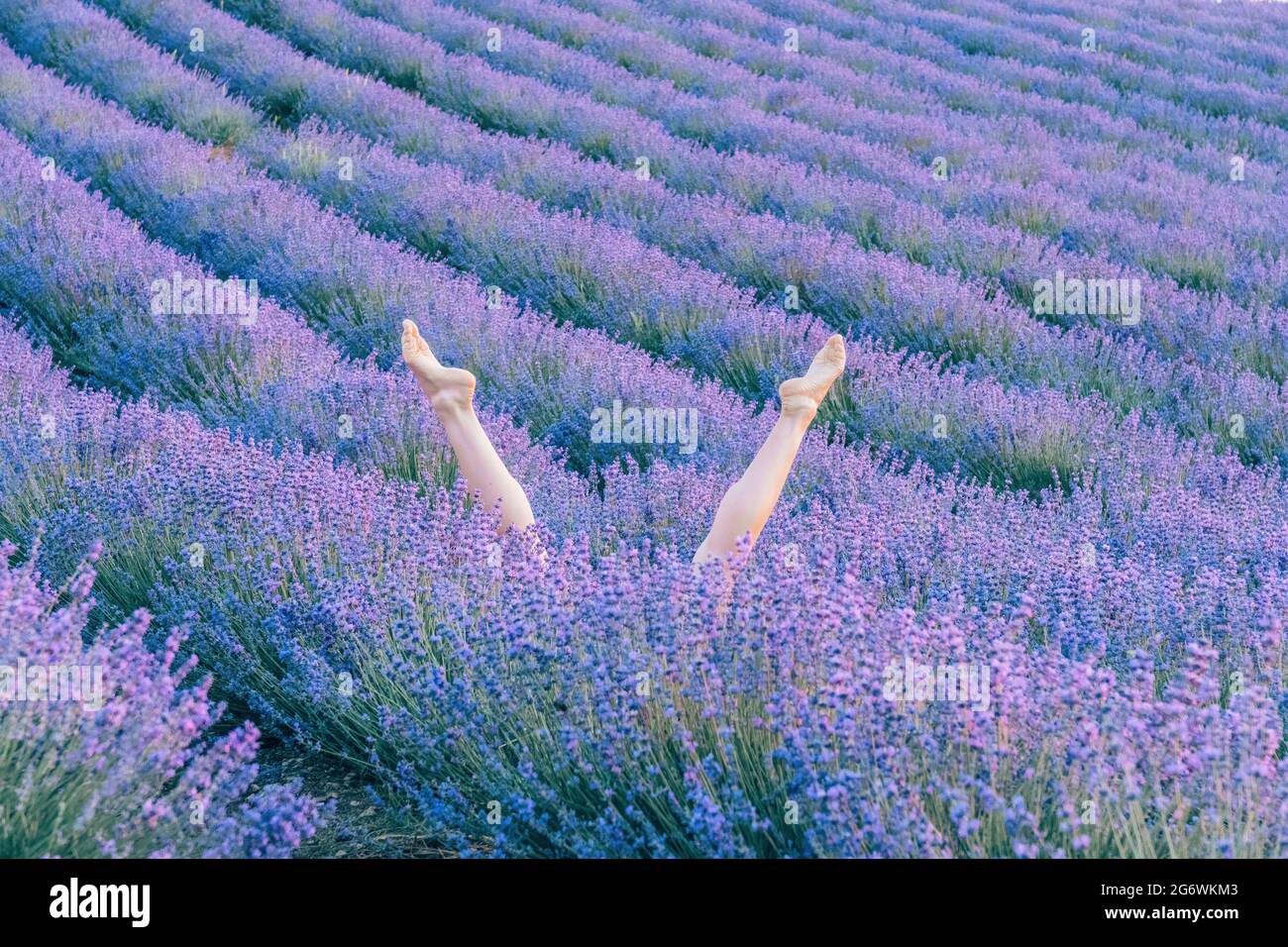 Slender G-Spot Rabbit - Lavender