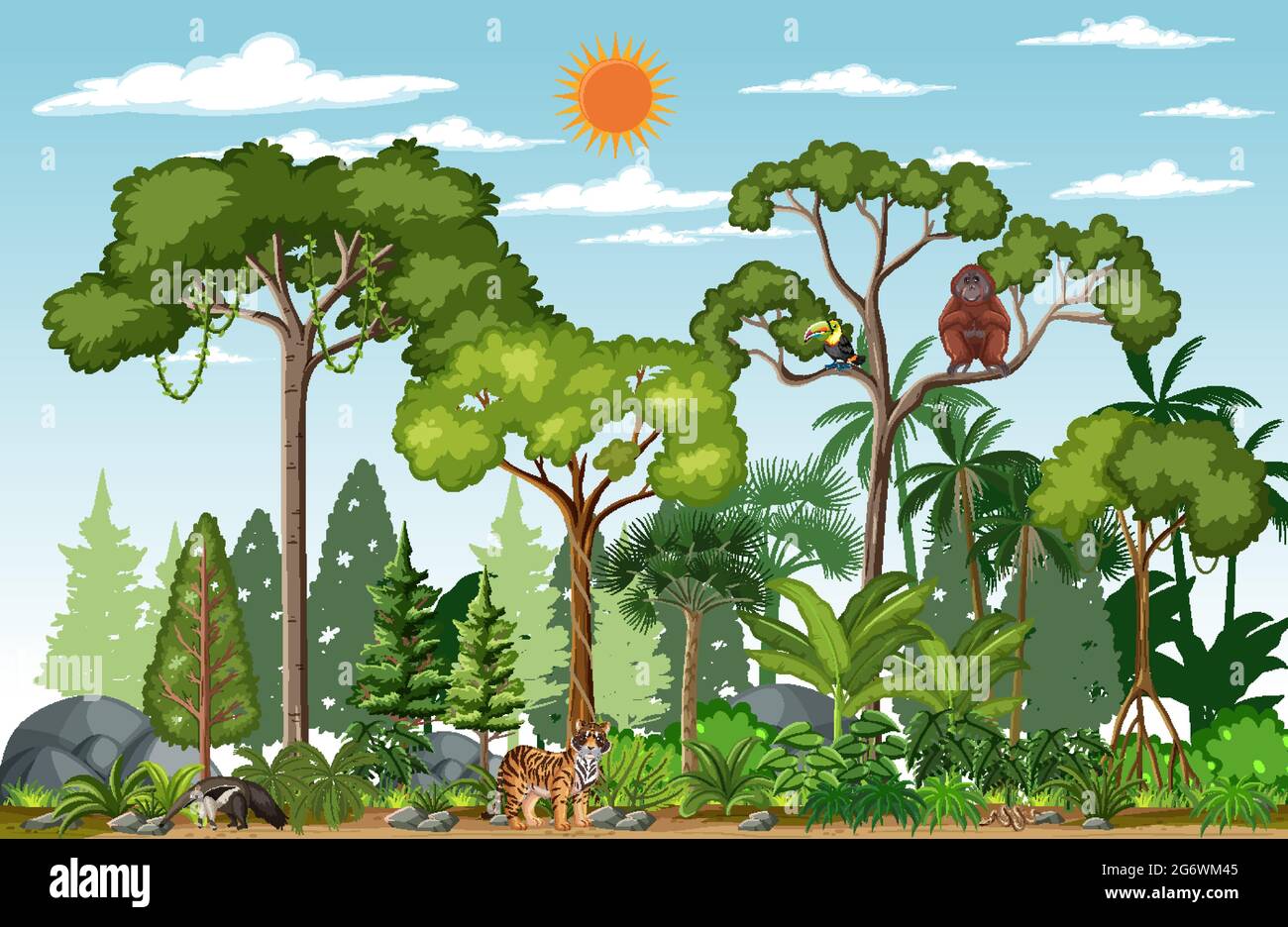 Forest scene with different wild animals illustration Stock Vector ...