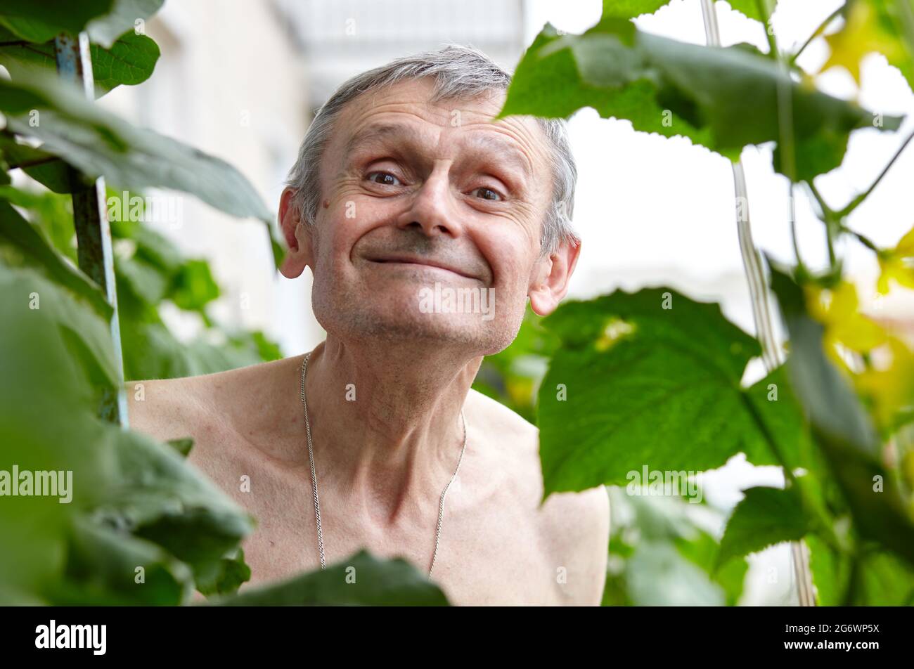Old man gardening in home greenhouse. Portrait of a happy elderly man Stock Photo