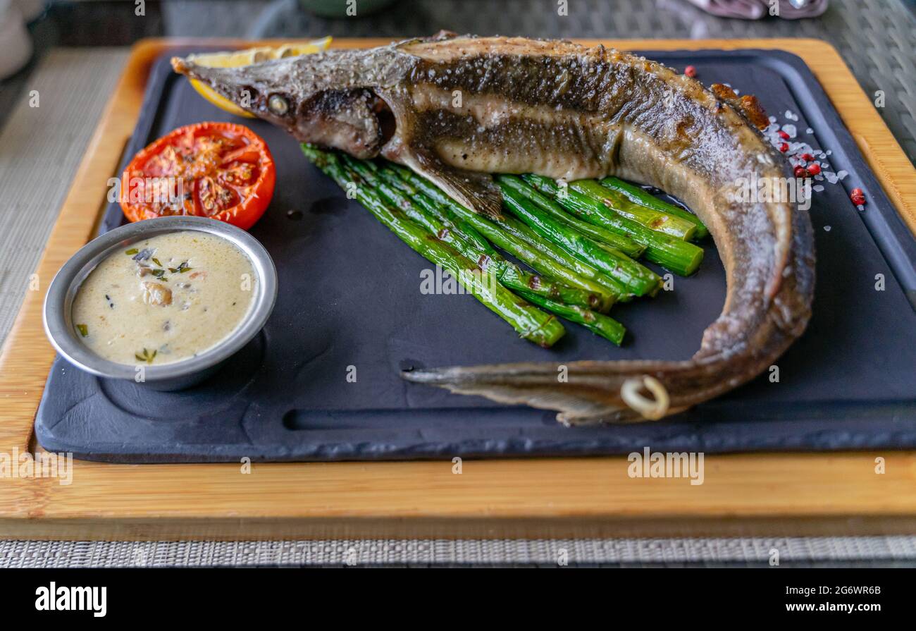 Baked sterlet with grilled asparagus and nantua sauce, tomato, salt, common fish served in Russian restaurants. Stock Photo