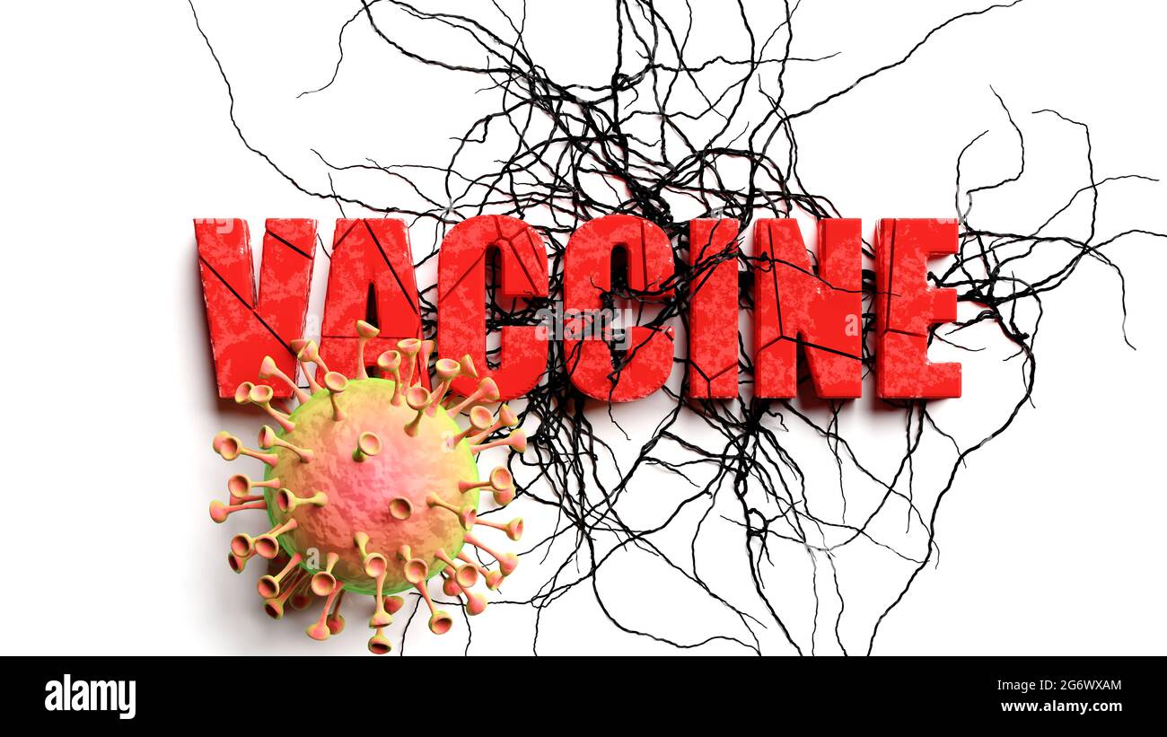 Degradation and vaccine during covid pandemic, pictured as declining phrase vaccine and a corona virus to symbolize current problems caused by epidemi Stock Photo