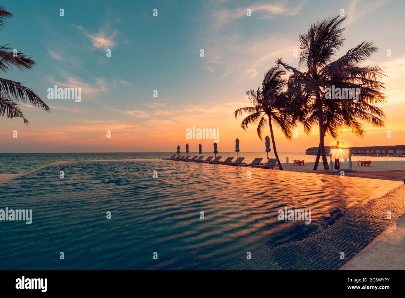 Luxury pool sunset, palm tree silhouette, windy infinity pool water ...