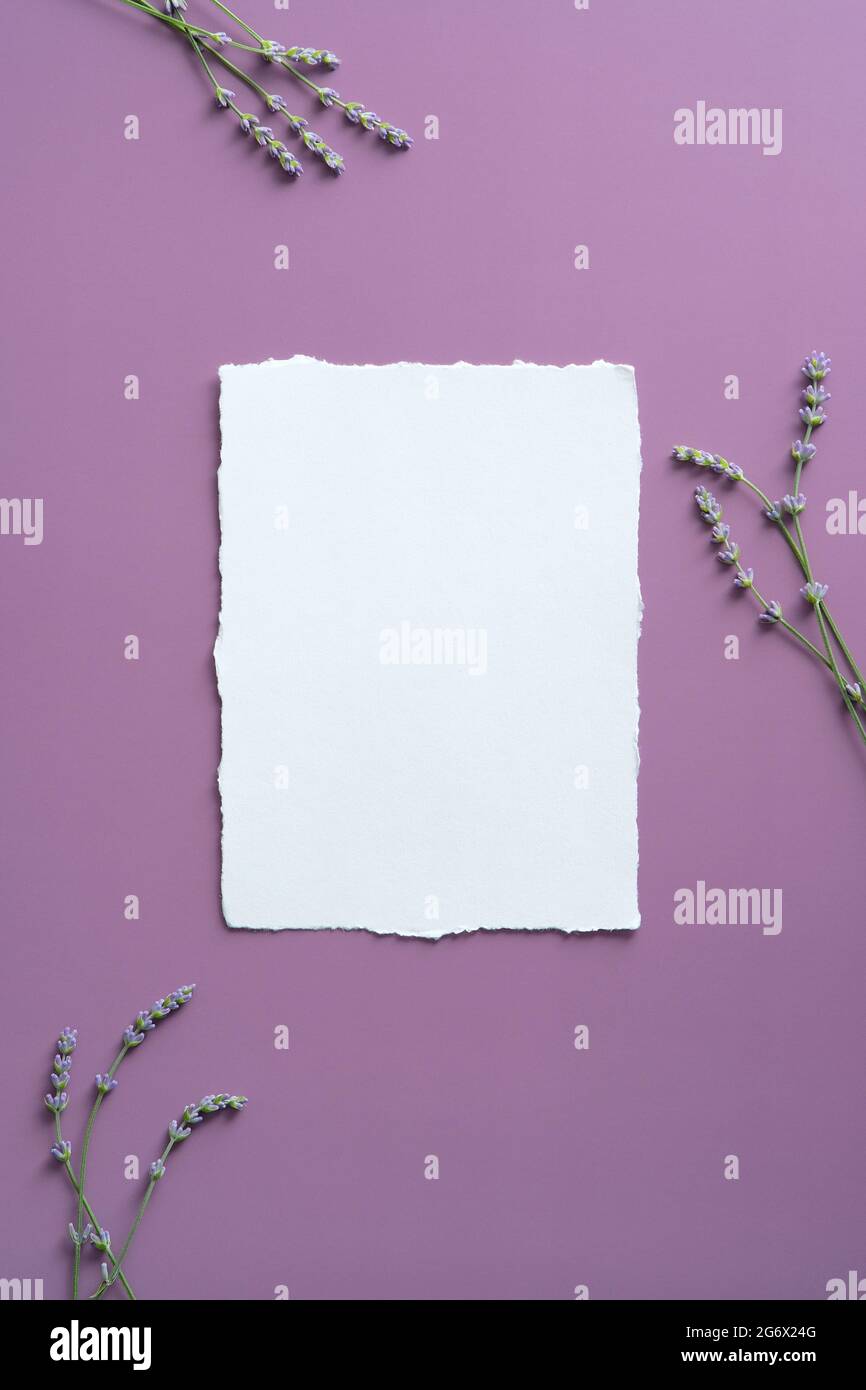 Purple Card Stock including Lilac, Violet, and Lavender - CutCardStock