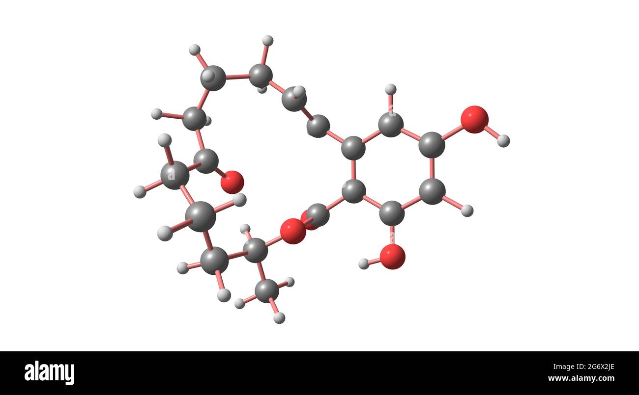 Zearalenone or ZEN or RAL is a potent estrogenic metabolite. 3d illustration Stock Photo