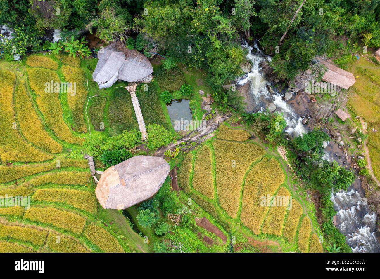 Aerial view of Giant Bamboo Hut with rice flieds in Chiang mai, Thailand. Stock Photo