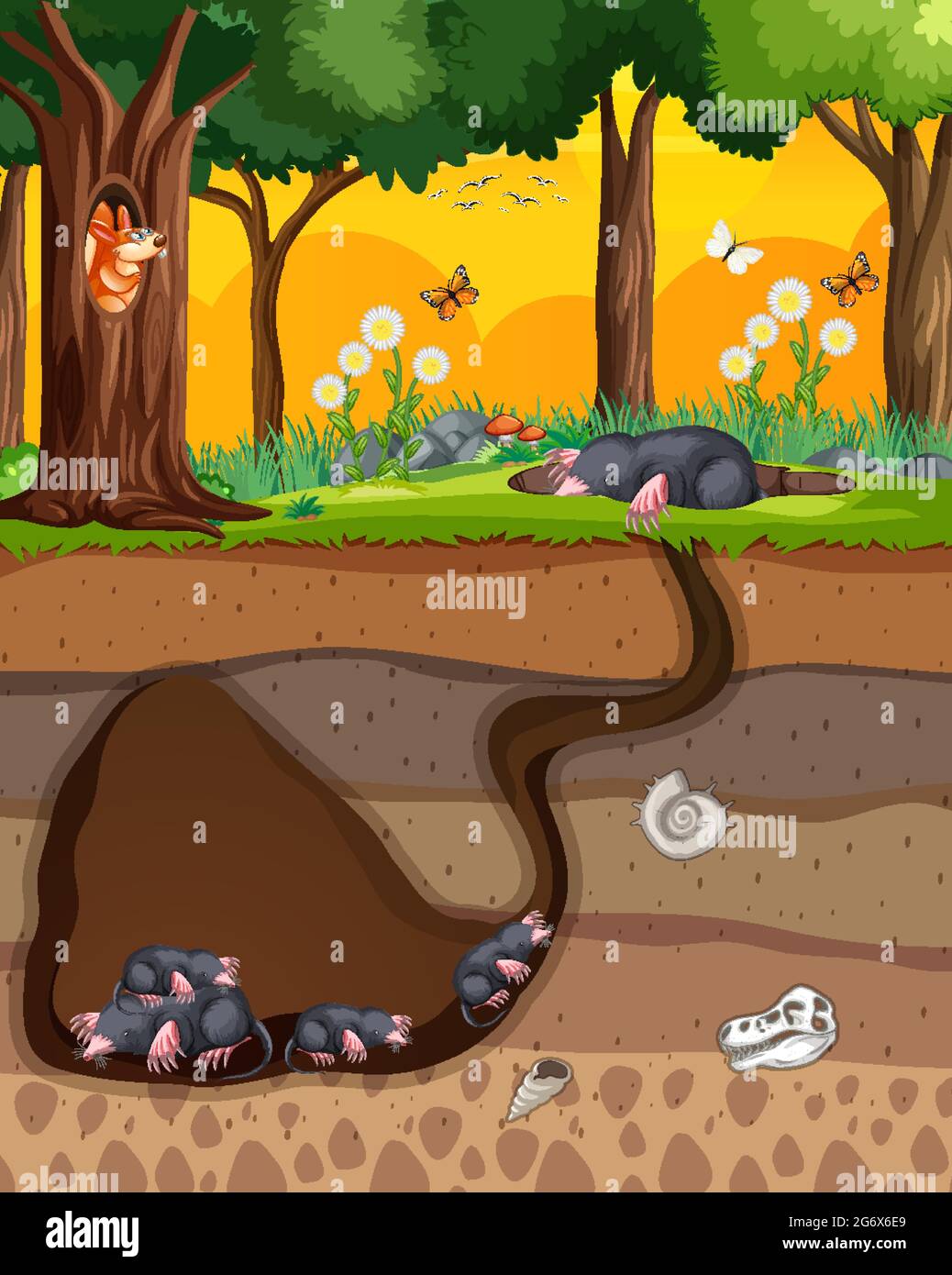 Underground animal burrow with mole family illustration Stock Vector Image  & Art - Alamy