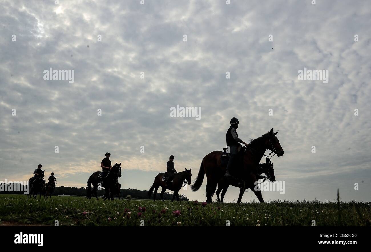 Horses on the gallops at Warren Hill before Gentlemen's Day of the 2021