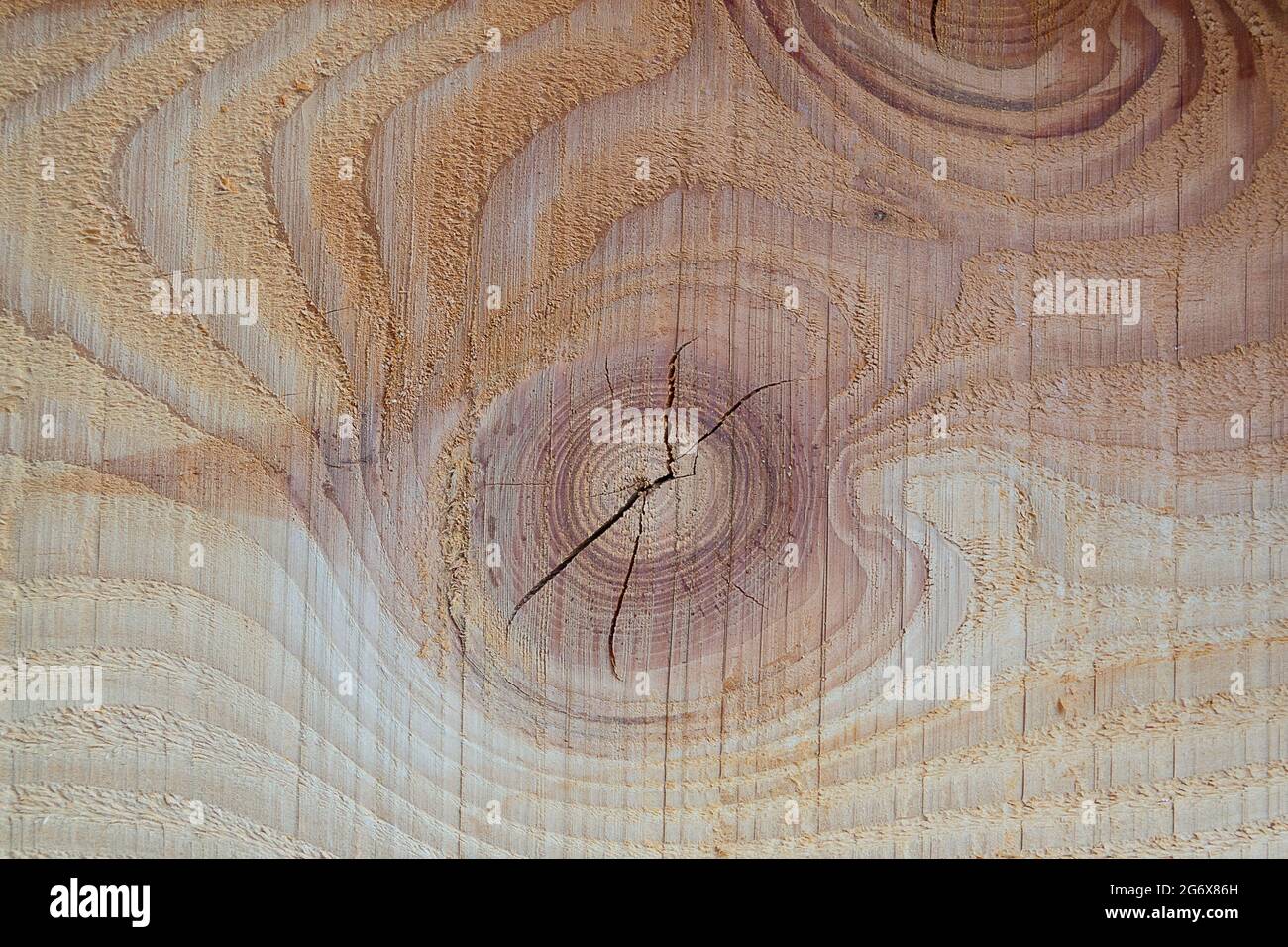 Close-up of a knot in a douglas fir plank Stock Photo