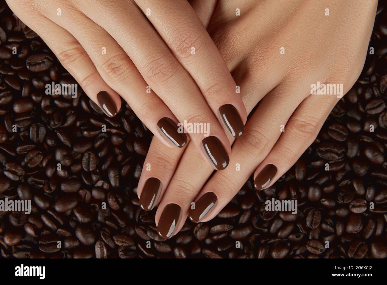 Beautiful Groomed Womans Hands With Brown Nail Design Manicure Pedicure Beauty Salon Concept Stock Photo Alamy