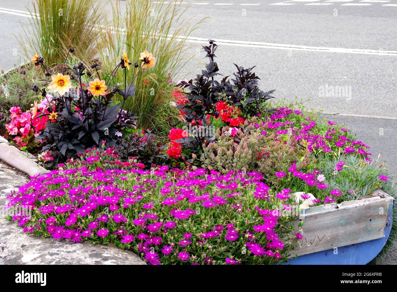 planted colourful planted display Stock Photo