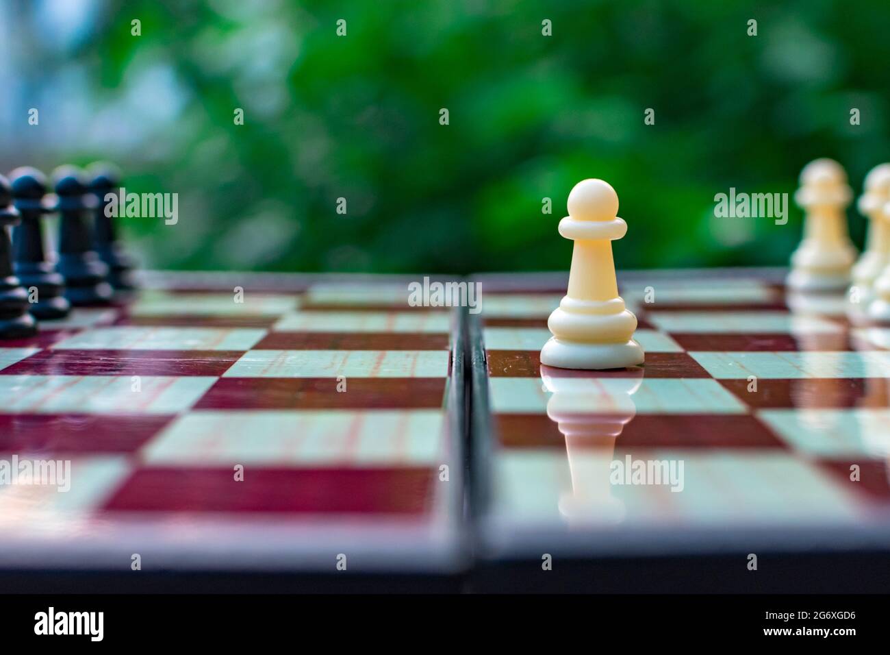 Chess pieces are placed on a chessboard close-up on a blurred background of nature. White pawn on a chessboard. Blurred focus. Defocus. Shehamat day. Stock Photo