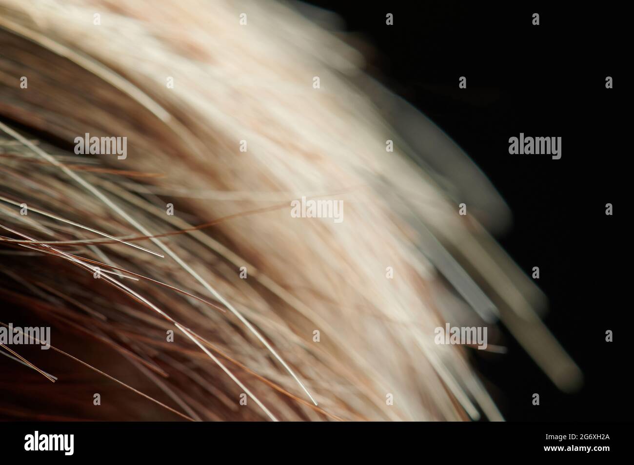 Healthy hair background theme macro close up on blur Stock Photo