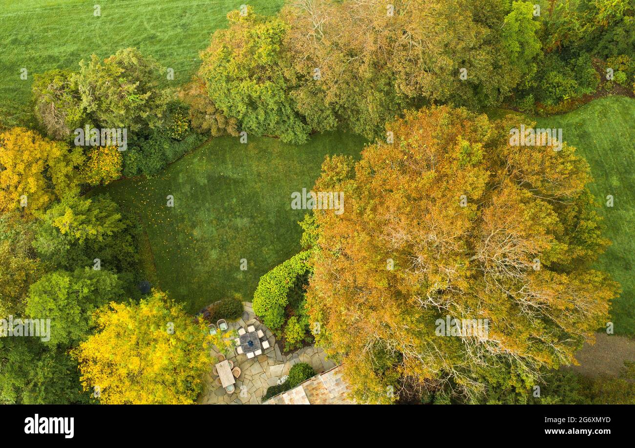 Aerial of Autumn trees in a park with a patio for sitting Stock Photo ...