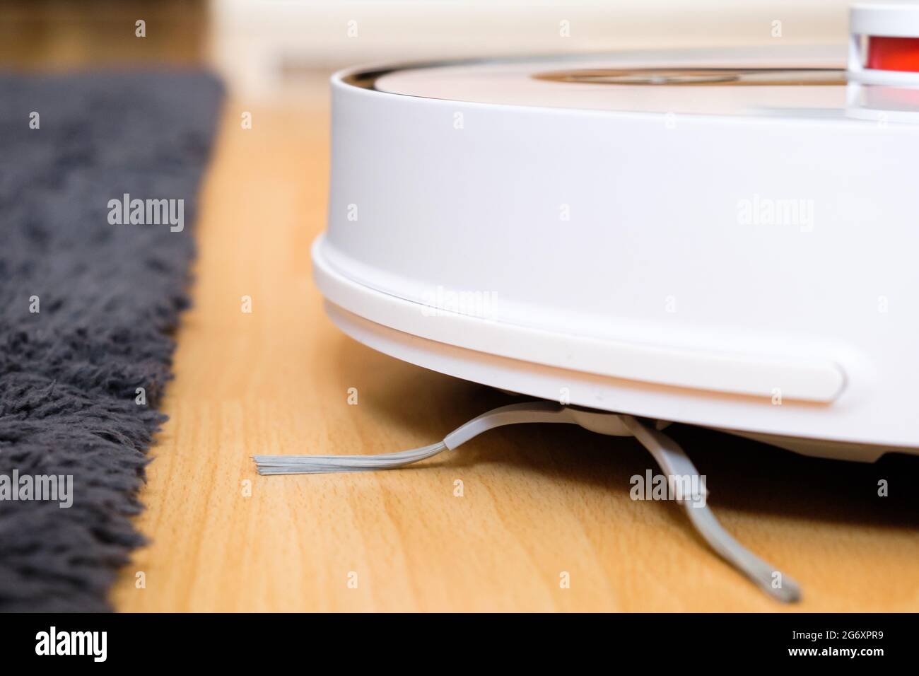 Robot vacuum cleaner performs cleaning of the wooden floor near the carpet. Housekeeping smart technology Stock Photo