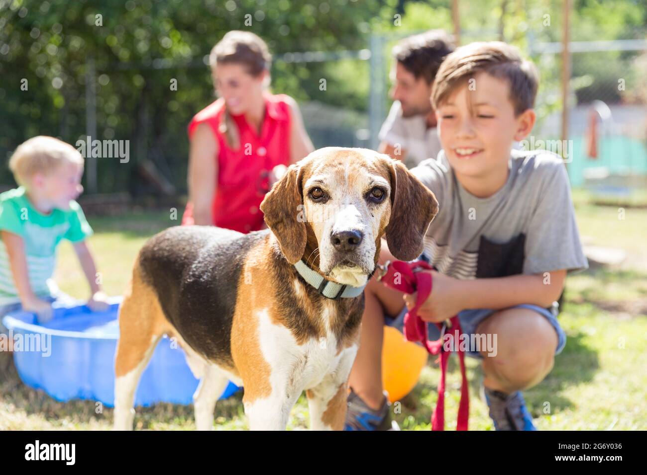 Young boy petting dog in animal shelter spending time with the pet Stock Photo