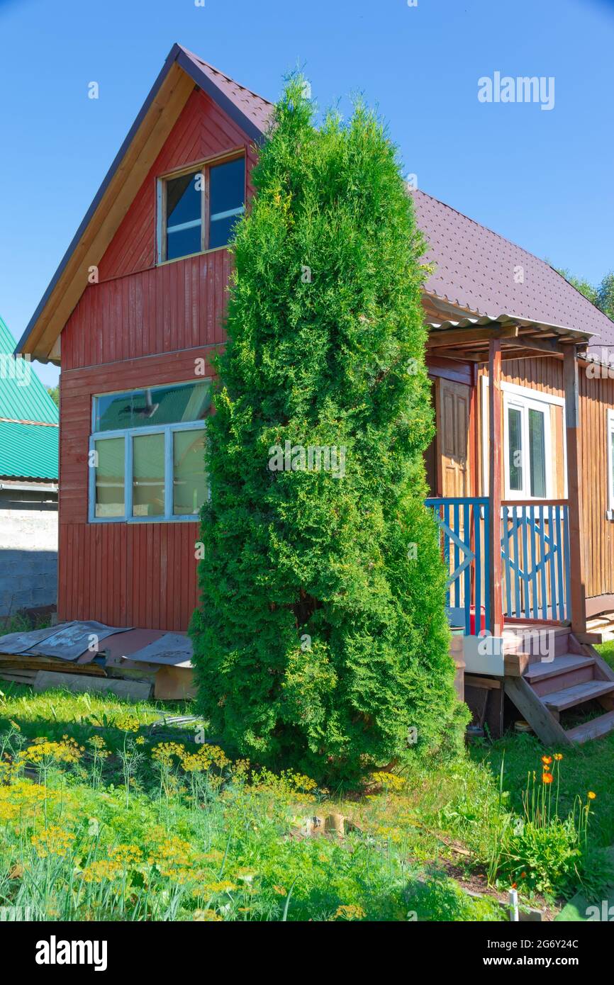 Old wooden red house in the village against the background of blue sky and green foliage. Hot sunny summer day. Medium plan Stock Photo