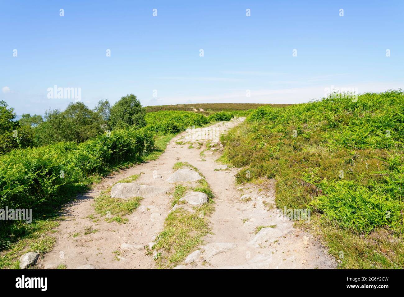Wide rock strewn path winds between ferns and heather across the Derbyshire moorland on a bright summer morning Stock Photo