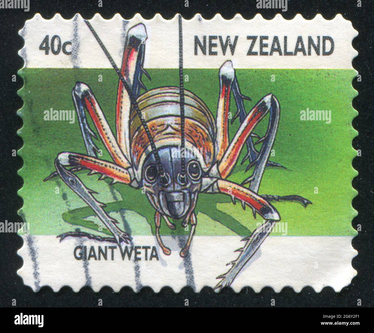 NEW ZEALAND - CIRCA 1997: stamp printed by New Zealand, shows Creepy Crawlies, Giant weta, circa 1997 Stock Photo