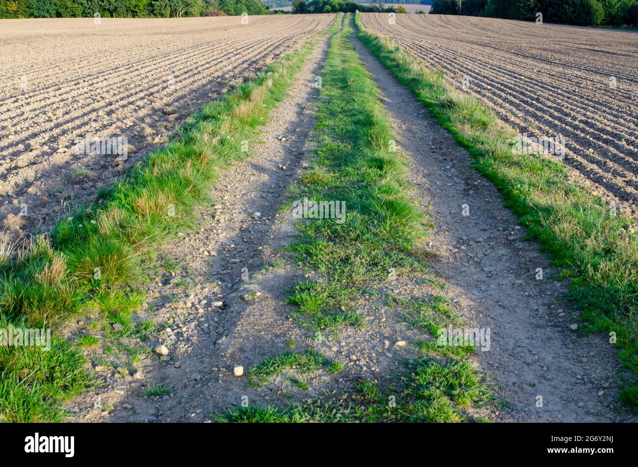 Field Path Ground Path through countryside fields hi-res stock photography and images - Alamy