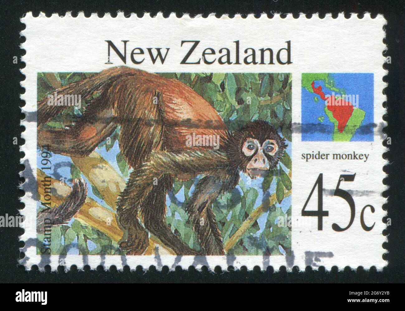 NEW ZEALAND - CIRCA 1994: stamp printed by New Zealand, shows Wild animals, Spider monkey, circa 1994 Stock Photo