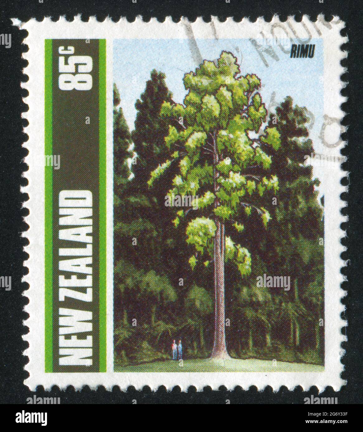 NEW ZEALAND - CIRCA 1989: stamp printed by New Zealand, shows Trees, Rimu, circa 1989 Stock Photo