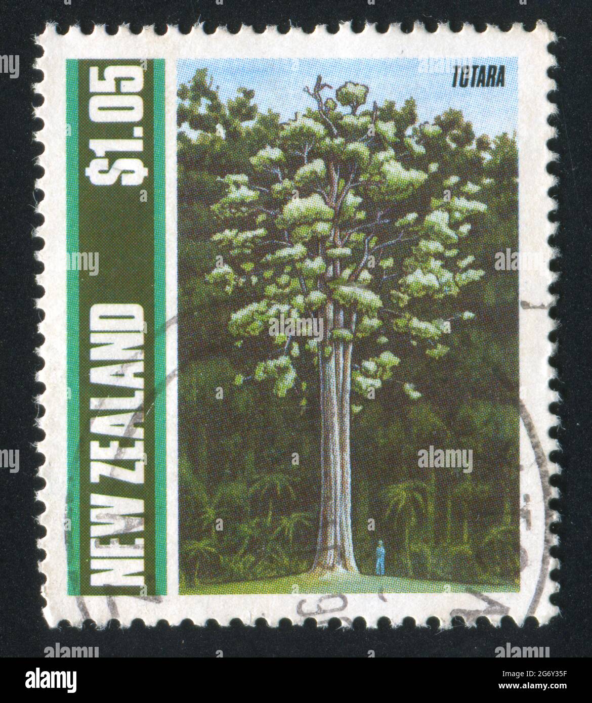 NEW ZEALAND - CIRCA 1989: stamp printed by New Zealand, shows Trees, Totara, circa 1989 Stock Photo