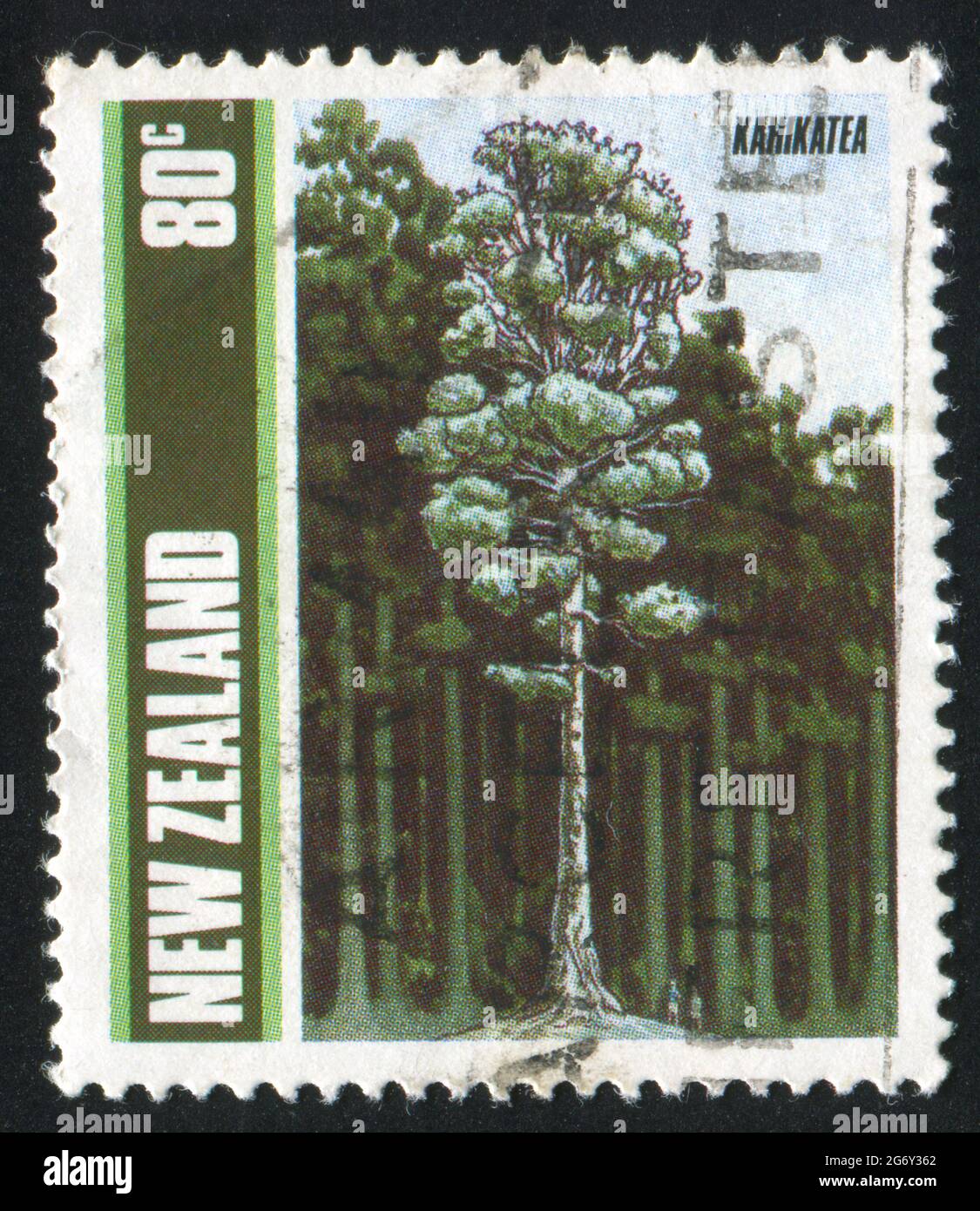 NEW ZEALAND - CIRCA 1989: stamp printed by New Zealand, shows Trees, Kahikatea, circa 1989 Stock Photo