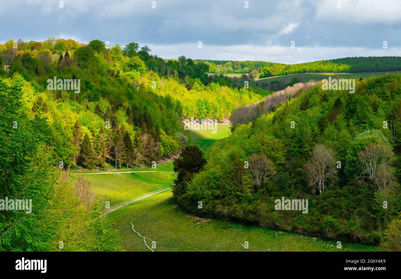 Landscape view of hills, valleys & woodland in the hilly British Countryside in Spring in Arundel Park, South Downs National Park, West Sussex, UK. Stock Photo