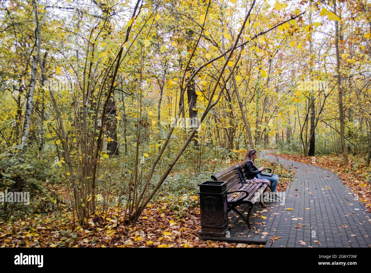 Moscow, Russia, October 2020: Autumn Park, trees with yellow leaves. A girl is sitting on a bench with a laptop. The concept of remote work, online le Stock Photo