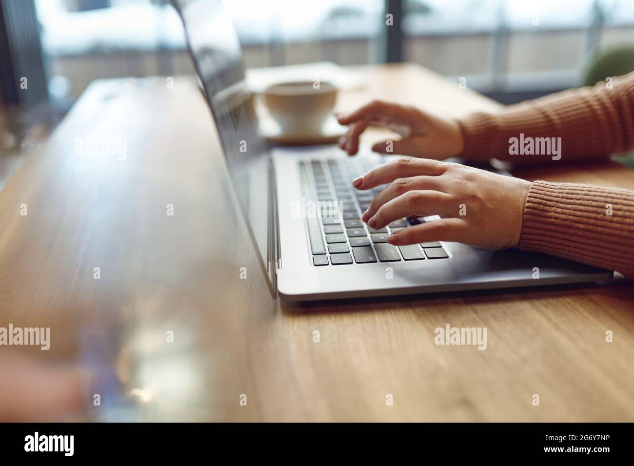 Female freelancer using wireless laptop at cafe Stock Photo