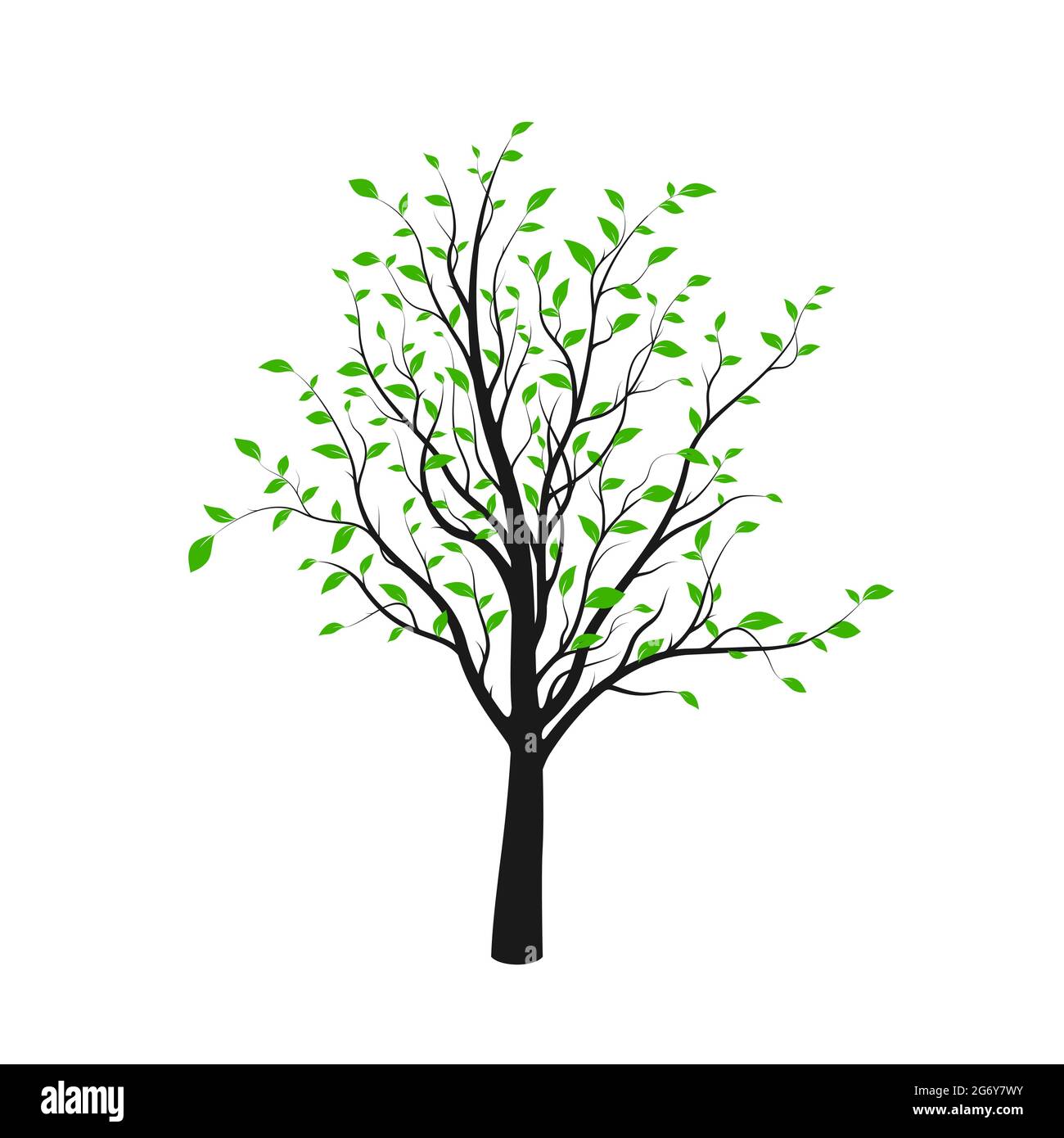 Black tree silhouette with green leaves isolated on white background