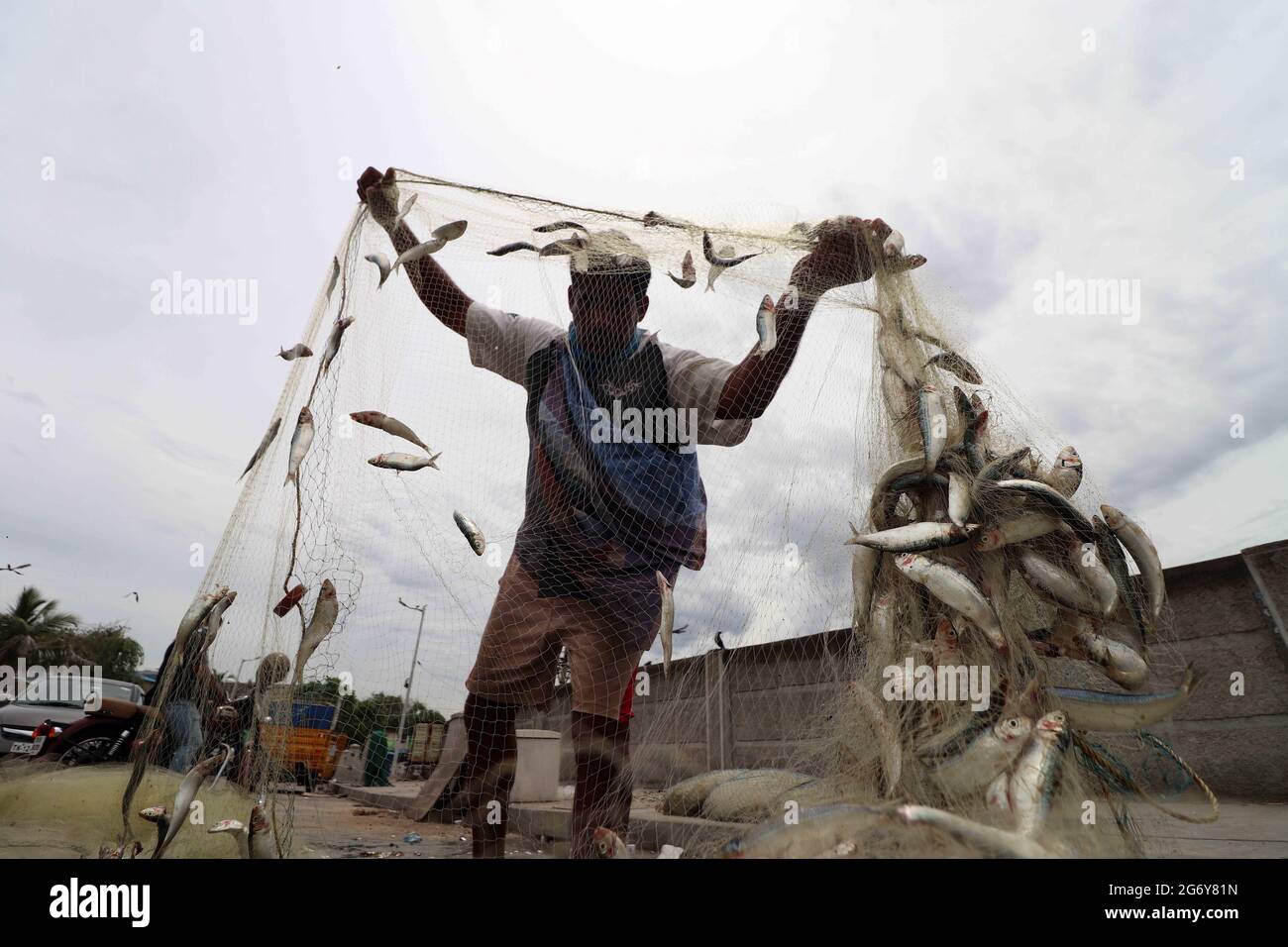 India tamil nadu chennai fish hi-res stock photography and images - Alamy