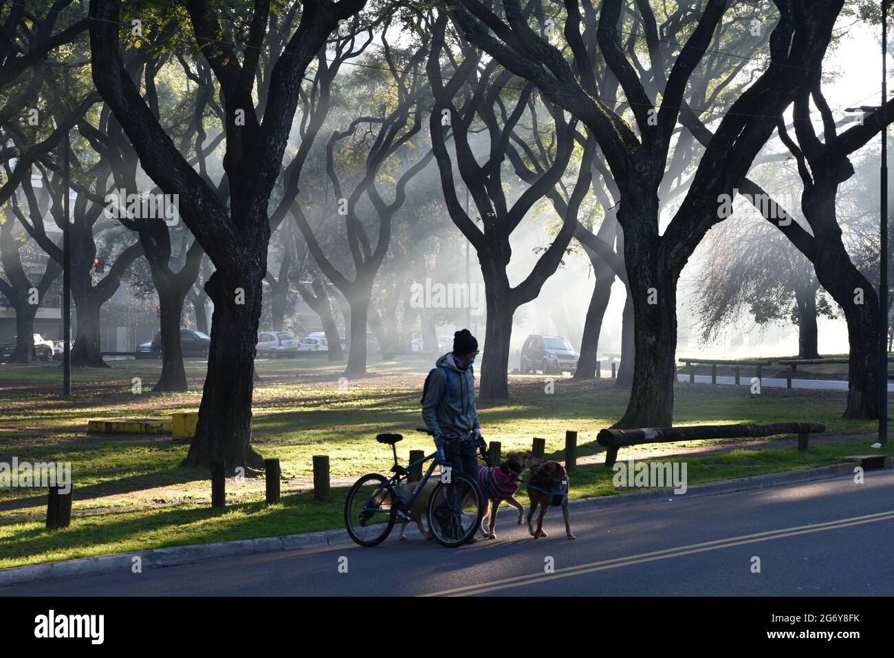 Buenos Aires, Argentina - July 5, 2021: a dog sitter with his bike in a foggy bosques del palermo park in Palermo neighborhood Stock Photo