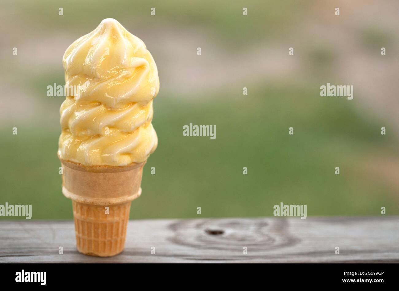 Vanilla Soft Serve Ice Cream Cone Melting in the Summer Heat Stock Photo