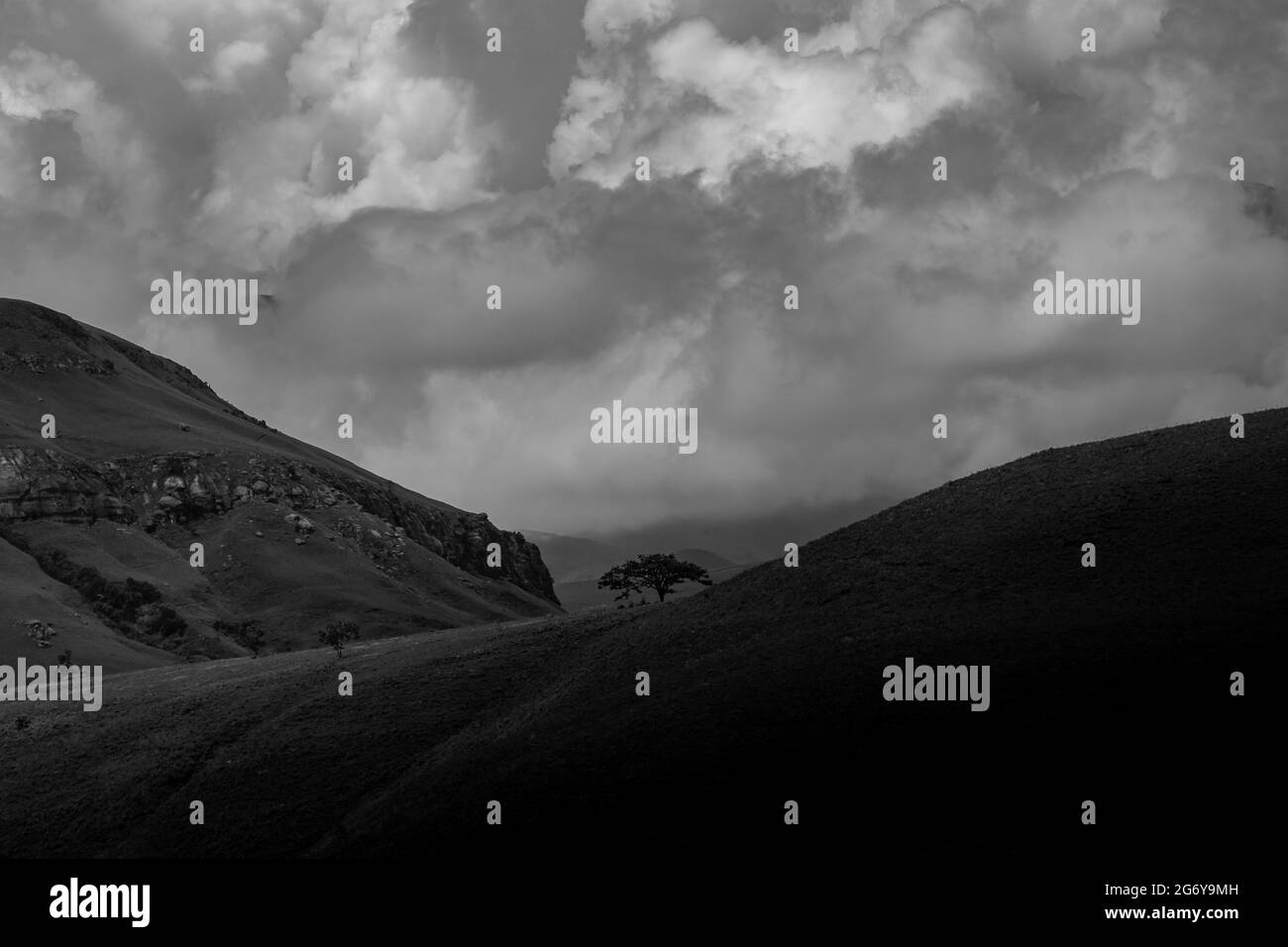 Tree on a hill Black and White Stock Photos & Images - Alamy