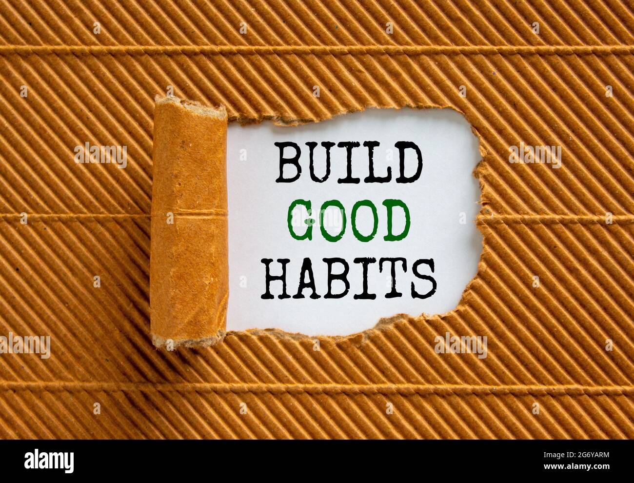 Build good habits symbol. Words 'Build good habits' appearing behind ...