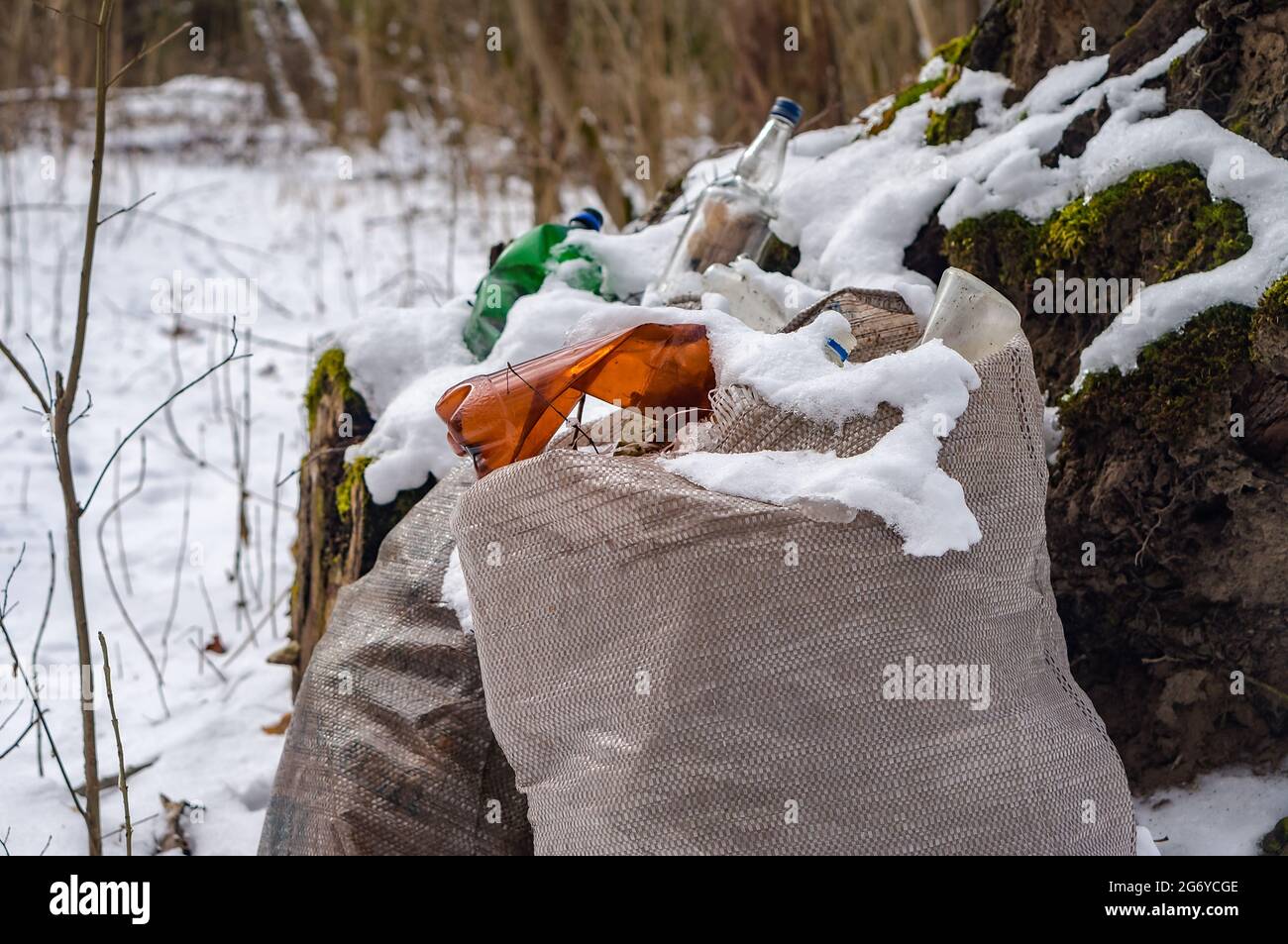 Bags of trash in the woods. Garbage in the forest in winter. Plastic