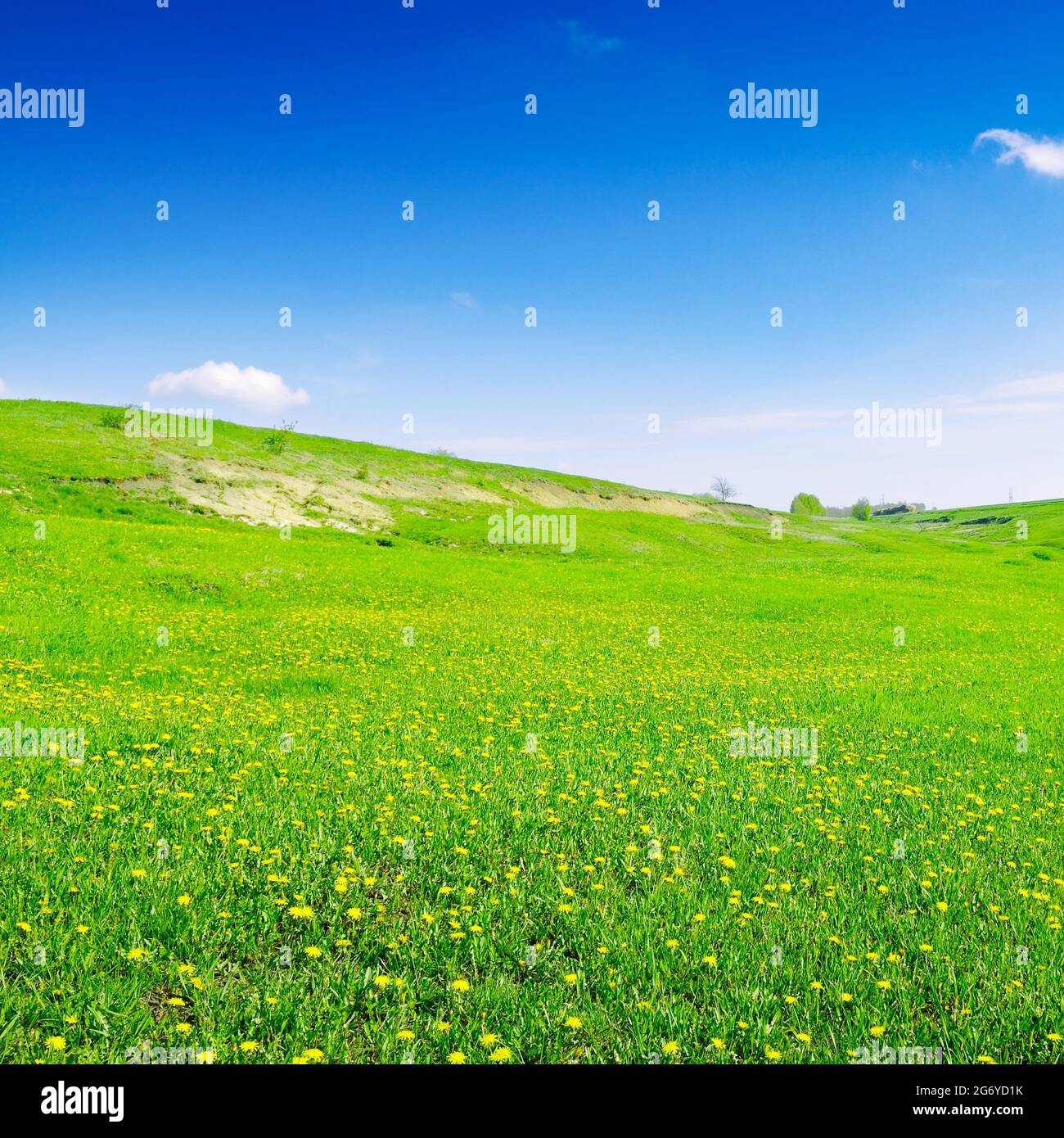 blue sky and green field Stock Photo - Alamy